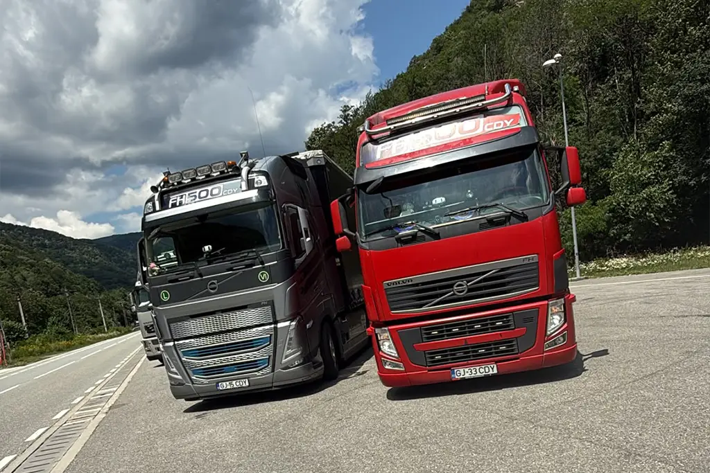 O mica parte din flota de transport international de marfuri generale